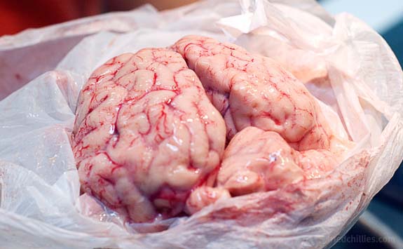 Zombie Beer Brewed With Real Brains