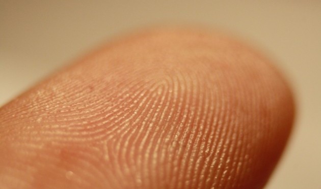 New test detects drug use from fingerprints